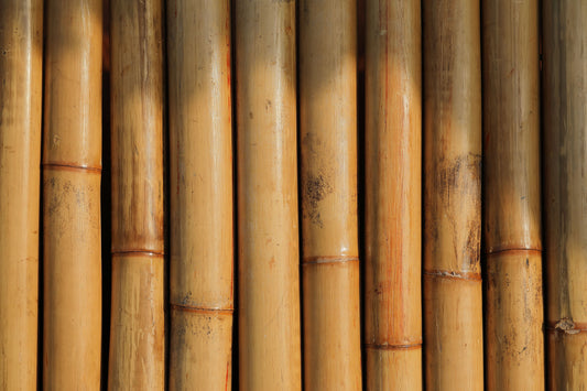 dried bamboo wall
