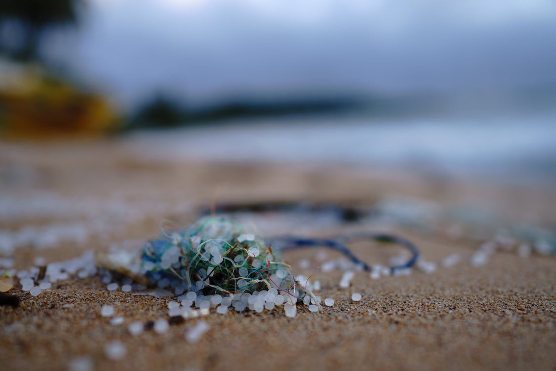 microplastics on beach shore