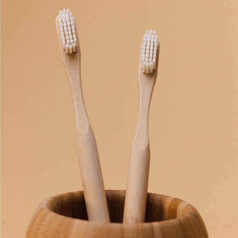 Gum-Friendly Toothbrush: Brush Club vs. Oral-B