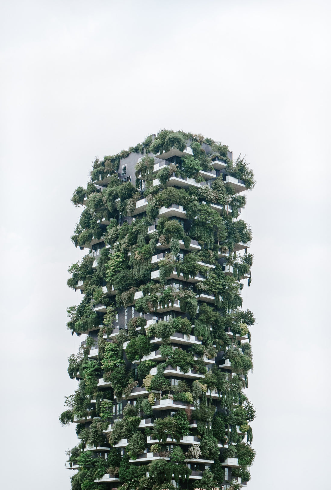 tall building with green balconies and vegetation